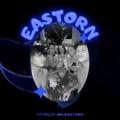 Logo saluran telegram eastorn — EASTORN OPLINK