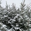 Логотип телеграм канала @easyddacha — EASYДАЧА