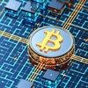 Логотип телеграм канала @easyinvestbtc — ИНВЕСТИЦИИ В КРИПТУ