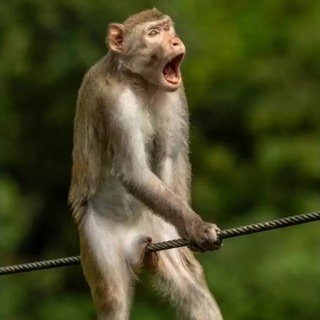 Логотип телеграм канала @easysmeh — 🏝🧸 | Лёгкость | 🧸🏝