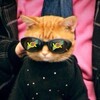 Логотип телеграм канала @eboocs — EBOO | Трейд в CS