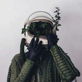 Логотип телеграм канала @ebshhh — Jack Pierce