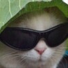 Логотип телеграм канала @ebu_rek — смехуёчки
