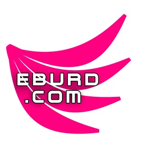 Logo des Telegrammkanals eburd1 - EBURD