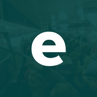 Логотип телеграм канала @ecareer — eCareer - удаленная работа