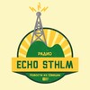 Логотип телеграм канала @echosthlm — Эхо Стокгольма