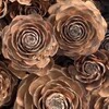 Логотип телеграм канала @ecodekorsochi — eco.dekor.sochi 🍁