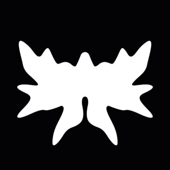 Logo del canale telegramma ecodelnulla - L'Eco del Nulla
