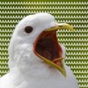 Логотип телеграм канала @ecoliki — шутки до эКоликов в животе