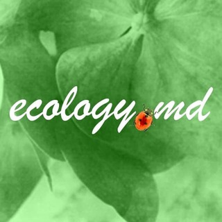 Логотип телеграм канала @ecologymd — Ecology.md - живое измерение, родовые поместья