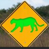 Логотип телеграм канала @ecologypanther — Зеленая пантера