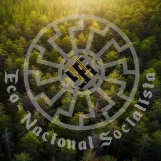Logotipo del canal de telegramas econacionalsocialista - Ｅｃｏ－ＮＳ