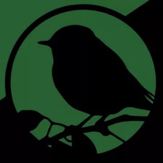 Логотип телеграм -каналу ecoplatform — Екологічна Платформа