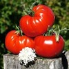 Логотип телеграм канала @ecotomat — ЭкоТомато 🍅 канал про томаты, семена, рассаду, огород, жизнь в деревне