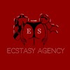 Логотип телеграм канала @ecstasyscoutservice — ecstasy service