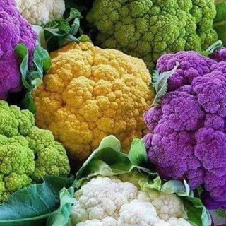 Логотип телеграм канала @edaruuu — РЕЦЕПТЫ🥗FOREVER