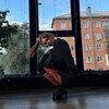 Логотип телеграм канала @edepoz25 — Танцы с Настей