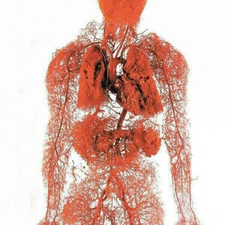 لوگوی کانال تلگرام educationalbiology — قناة علم الأحياء
