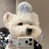 Telegram channel 成人導航總站入口🚗 logo
