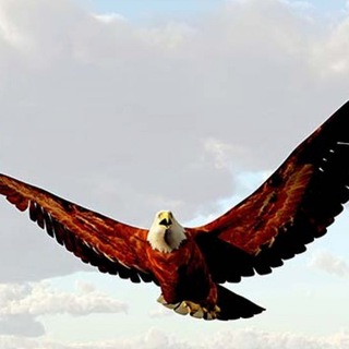 Логотип телеграм канала @ef_endlichfrei — Endlichfrei