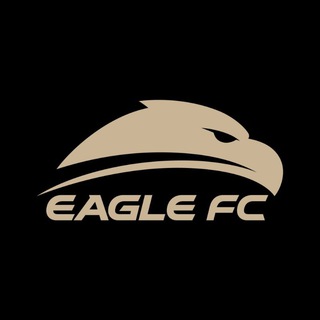 Логотип телеграм канала @efc_mma — EAGLEFC | EFC52