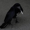 Логотип телеграм канала @efimarts666 — 𝔈𝔣𝔦𝔪