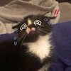Логотип телеграм канала @efroshiarchive — тыл ох (16 ) ЩИТПОСТ