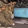 Логотип телеграм канала @egeball2027 — egeball.com | курсы огэ & егэ