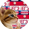 Telegram channel подготовка к ЕГЭ по русскому языку logo