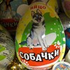 Логотип телеграм канала @egg_dog — Яйцо собачки
