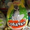 Логотип телеграм канала @eggdog228 — Яйцо собачки