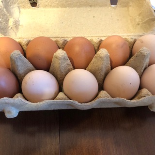 Telegram kanalining logotibi eggs_mitino — Домашние куриные яйца в Митино