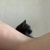 Логотип телеграм канала @egiky_ebutsia — ника плюфил не знает как