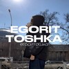 Логотип телеграм канала @egorittoshkaas — егоритошка