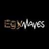 Logo of telegram channel egywaves — EgyWaves - ايجي ويڤز