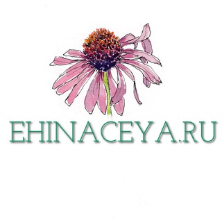 Логотип телеграм канала @ehinaceya — ehinaceya_clinik
