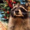Логотип телеграм канала @ehot_079 — Мусорка EHoTa