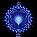Telegram channel Verkaufskanal MyTensor&OrgoniteUniversum logo