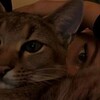 Логотип телеграм канала @eksoul — 𝒌'𝒔 𝒔𝒐𝒖𝒍