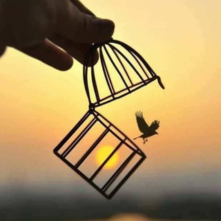 Логотип телеграм канала @ekvilibrozen — Эквилибро I Равновесие