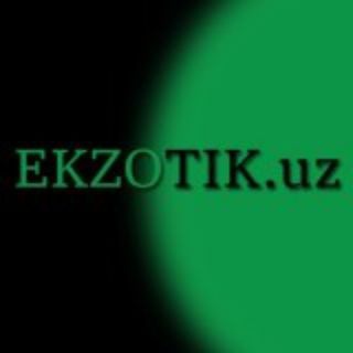 Telegram kanalining logotibi ekzotikuz — Ekzotik