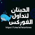 Logo des Telegrammkanals el7etanforex - الحيتان لتداول الفوركس 🐋💸