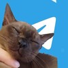 Логотип телеграм канала @el_brownlove — Э᧘ь BR𐌏W𐌽 ᥰ᧐дʙᥲ᧘💸