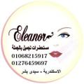 Telegram channel Eleanor store makeup جملة logo
