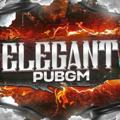 Logo saluran telegram elegantpubgm — Silka ozgardi