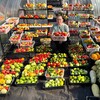 Логотип телеграм канала @elena60sotok — 60 Соток в Сибири🌺