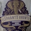 Logo of telegram channel elephantgrowth — Elephants_growth