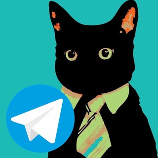 Logotipo del canal de telegramas elgatopolitico - El gato político