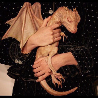 Логотип телеграм канала @elinapzv — hic sunt dracones