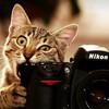 Логотип телеграм канала @elitanec56 — Фотосъёмки, тусовки, риветхеды, друзья, яркие моменты и события в моей жизни))